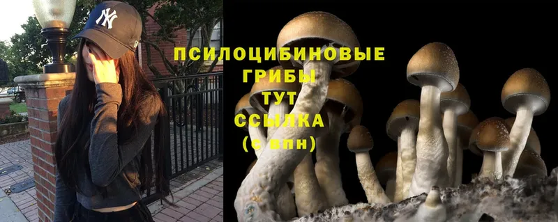 Псилоцибиновые грибы Magic Shrooms  Анива 